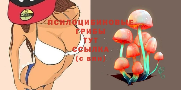 стафф Каменка