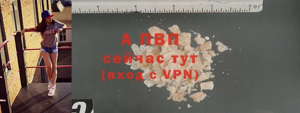 стафф Каменка