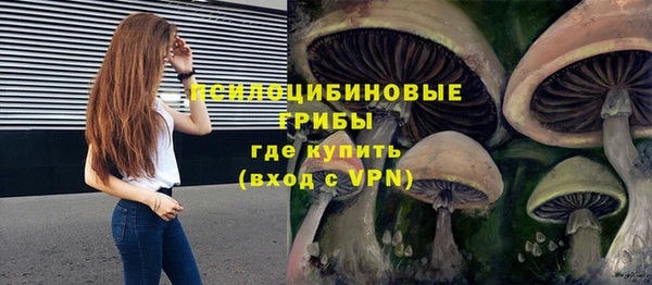 ALPHA PVP Каменск-Шахтинский