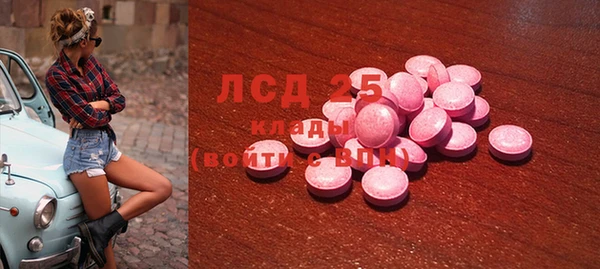 стафф Каменка